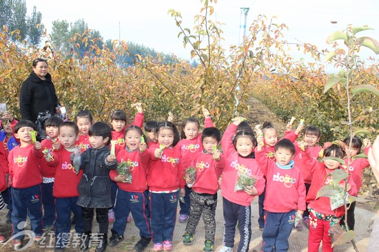 河南焦作紅纓博愛名苑幼兒園舉辦親子采摘趣味活動(dòng)