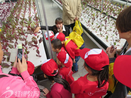 北京紅纓加盟園山西運城尚東城雙語幼兒園