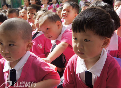 河南鄧州紅纓超前幼兒園英語(yǔ)情景劇表演