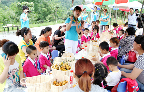 陜西安康紅纓高新幼兒園組織“初夏采摘”活動(dòng)